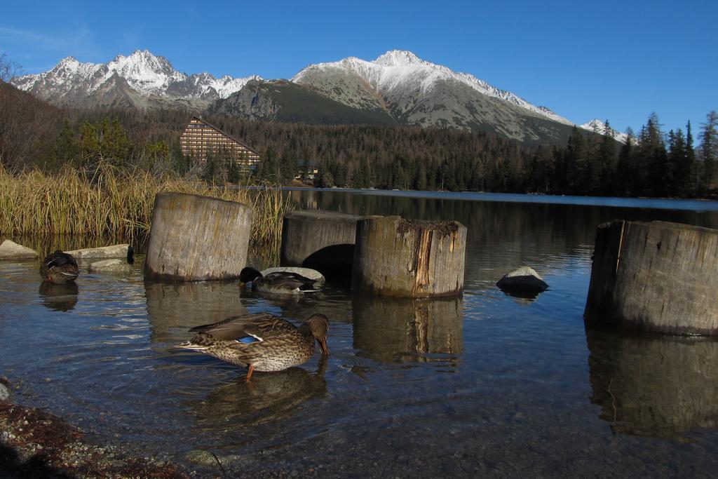 Apartman Strbske Pleso - Crocus 219 Pokój zdjęcie